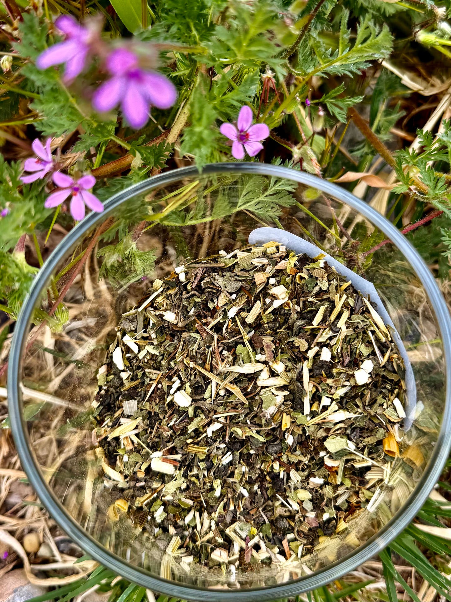Down To Earth: Uplift & Replenish Loose Leaf Tea Blend
