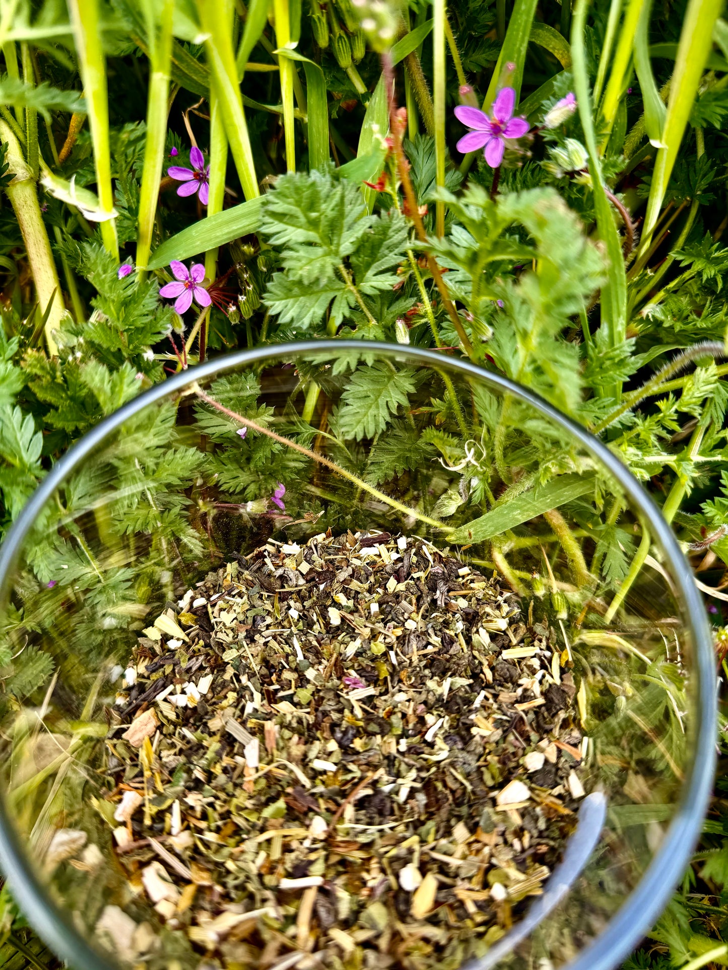 Down To Earth: Uplift & Replenish Loose Leaf Tea Blend